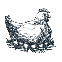 poule.webp