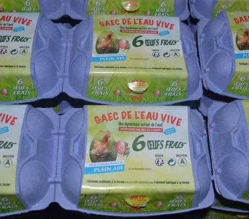 oeufs (2)