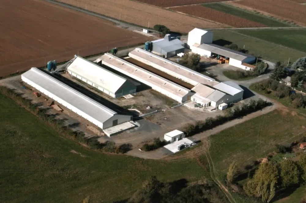 Œufs de poules en cage et au sol à Saint-Hilaire-de-Clisson